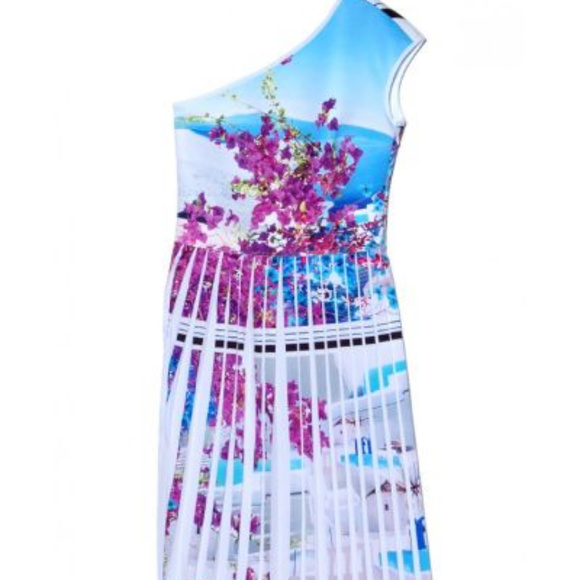 Clover Canyon Santorini One Shoulder Pleated Dress - Picture 4 of 5